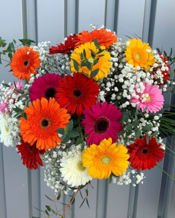 bouquet gerbera color