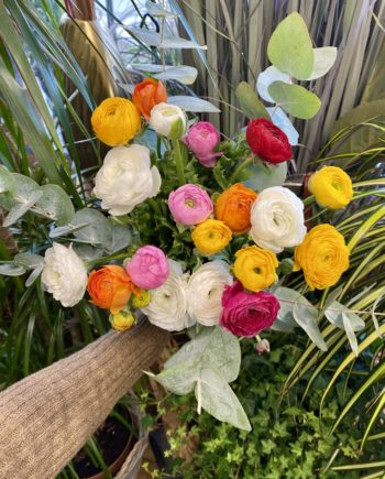 Bouquet anabelle,livraison de fleurs à Craponne, livraison de fleurs à brindas, livraison d'un bouquet à grezieu la Varenne, fleuriste pollionnay, fleuriste à vaugneray