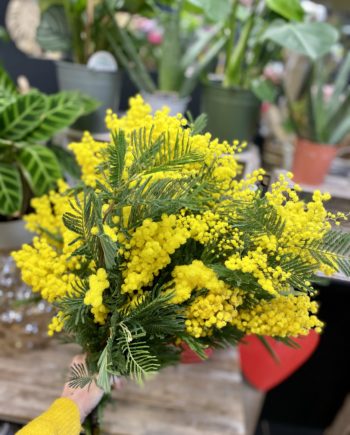bouquet de mimosa, natalyfleurs,livraison de fleurs à Craponne, livraison de fleurs à brindas, livraison d'un bouquet à grezieu la Varenne