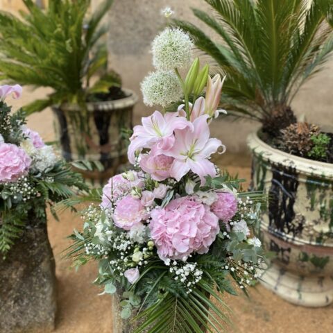 3111DB58-F5DB-47FA-BAE1-0BAD5EE6FA8D_1_201_a-min