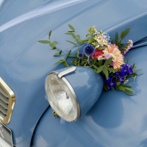 51CED13F-651E-400C-AEAC-BFCDCA0BA6B4_1_201_a-min