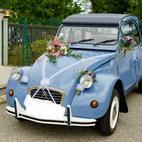 5B9CABF5-1118-450C-8C7B-C8CE6CD2572E_1_201_a-min