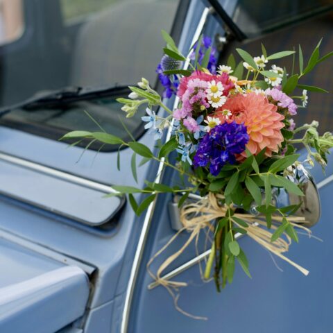 7C8B09C3-0E70-44CB-8A00-63820D41B5DA_1_201_a-min