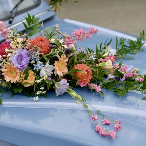 D9B9503C-F8B0-4C14-8248-264BB83034C0_1_201_a-min