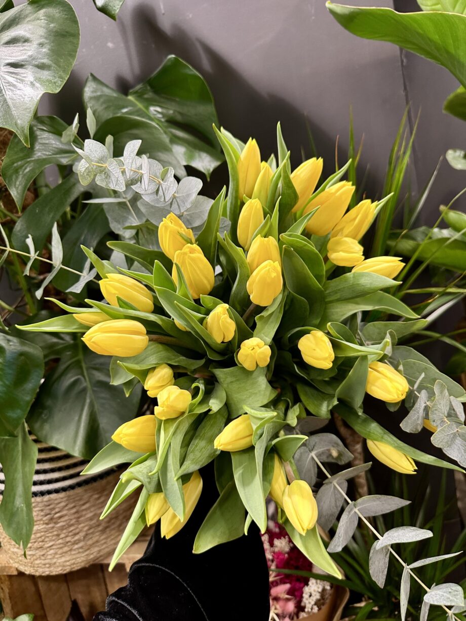 bouquet de tulipes jaunes