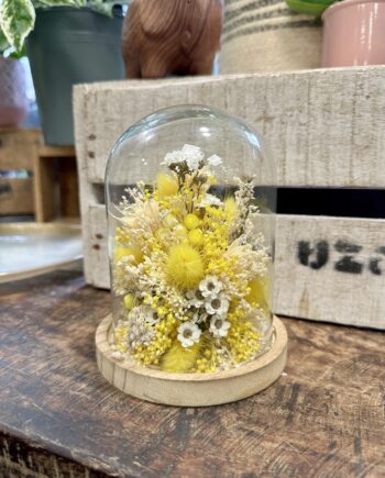 cloche de fleurs séchées jaune