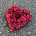 coeur de roses