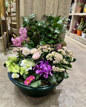 Coupe de plantes roses